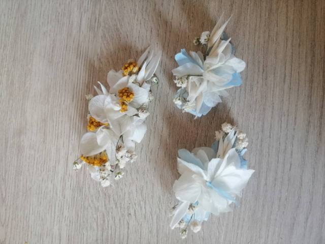 Pince en fleurs s�ch�es